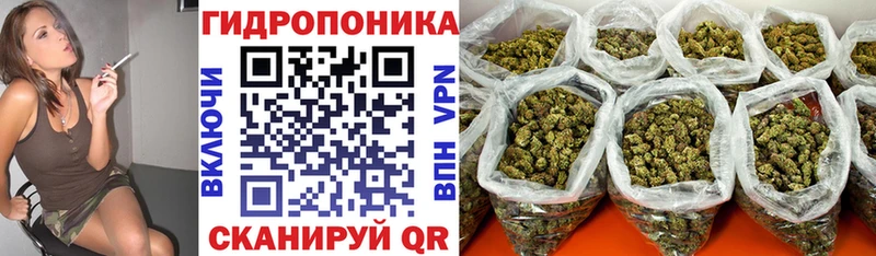 Магазин наркотиков Пустошка Конопля Cocaine Гашиш АМФЕТАМИН Мефедрон