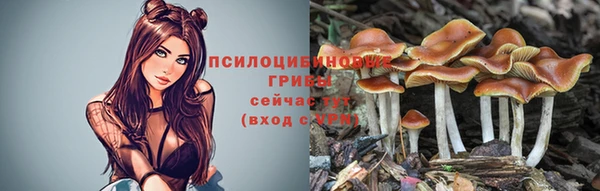круглые Алексин