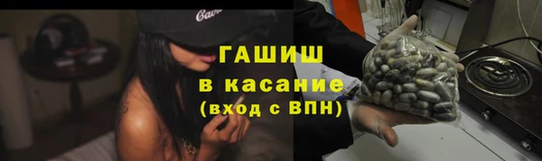 сатива Алзамай